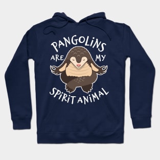 Pangolin Lover Gift - My Spirit Animal Is A Pangolin Hoodie